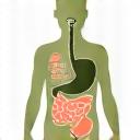 Abstract depiction of gut with beneficial bacteria