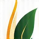 Bright green leaf icon with abstract energy lines